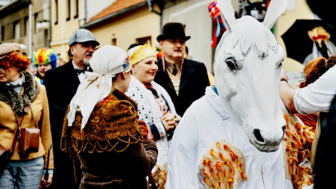 Nymburský masopůust. foto D. Růžička
