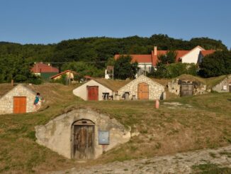 víno sklípky
